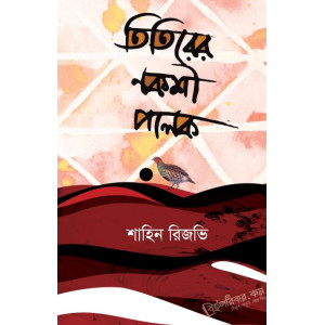 Titirer Nokshi Palok